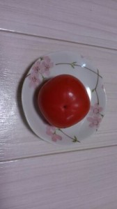 甲子柿